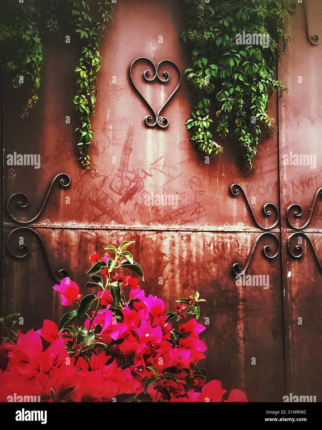 Una porta metallica è decorata con una parentesi cuore di metallo e altri swirly trim e circondato da bouganville e piante verdi di aggiungere bellezza alla funzionalità. Foto Stock