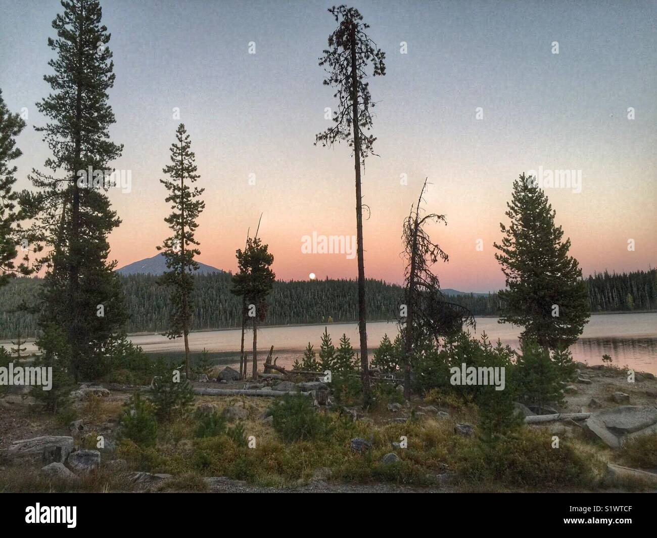 Piccolo luna crescente su un lago Foto Stock