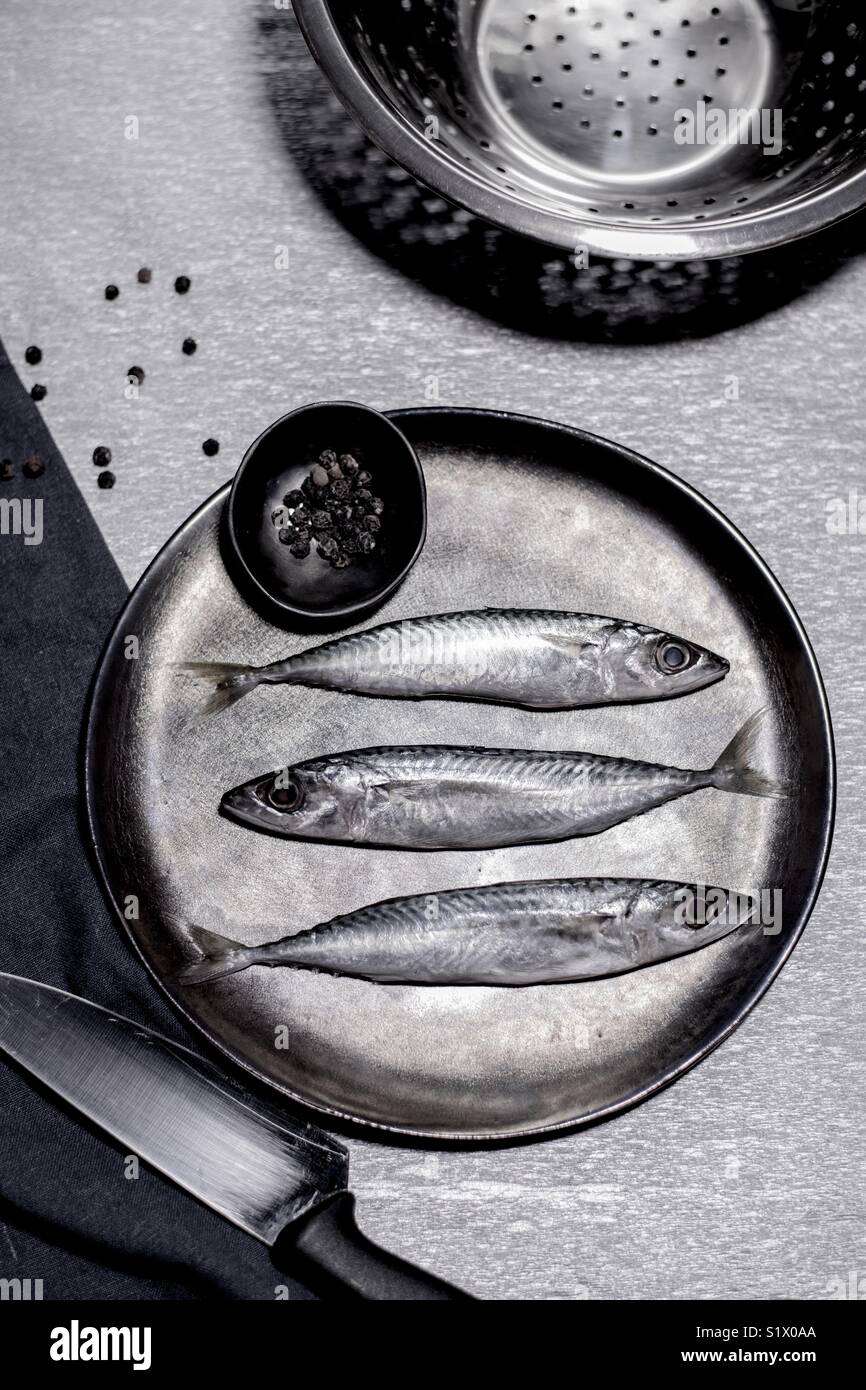 Monocromatico argento- pesci Foto Stock