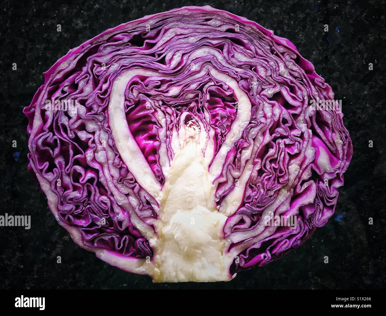 Cavolo rosso mezza - Immagine stock catturata con smartphone