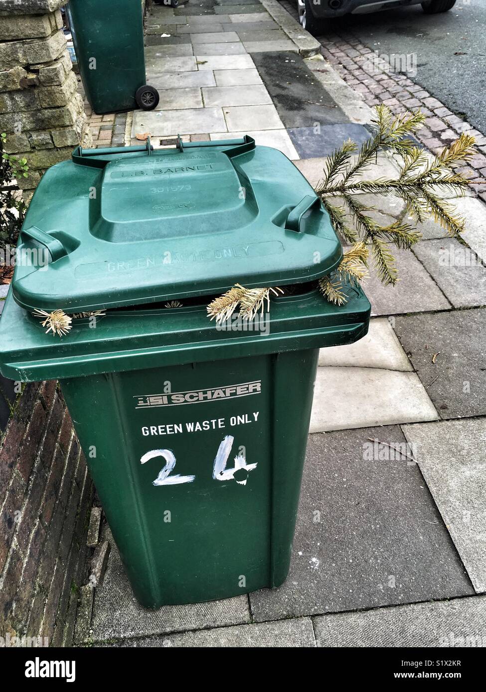 Un albero di Natale di poke al di fuori della parte superiore di un contenitore a Londra in Inghilterra - Immagine stock catturata con smartphone