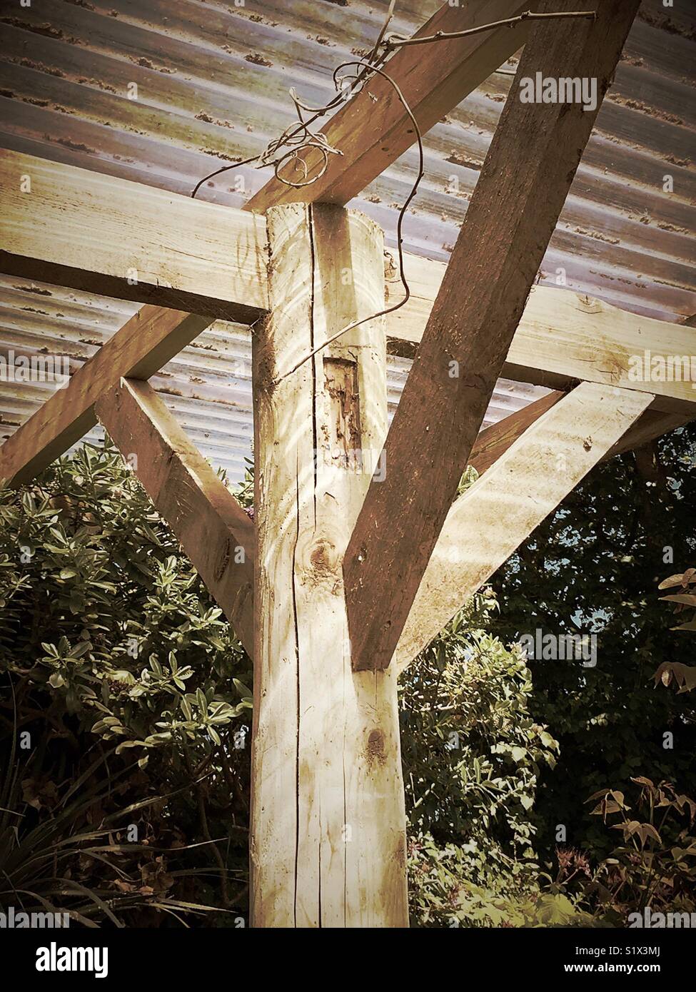 In legno travi di supporto Foto Stock