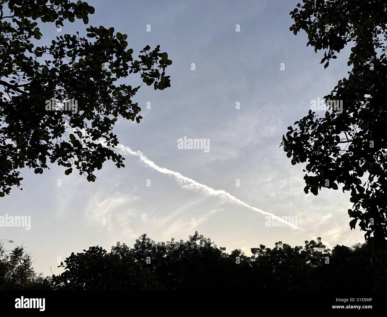 Paesaggio Skyline,New Delhi, India Foto Stock