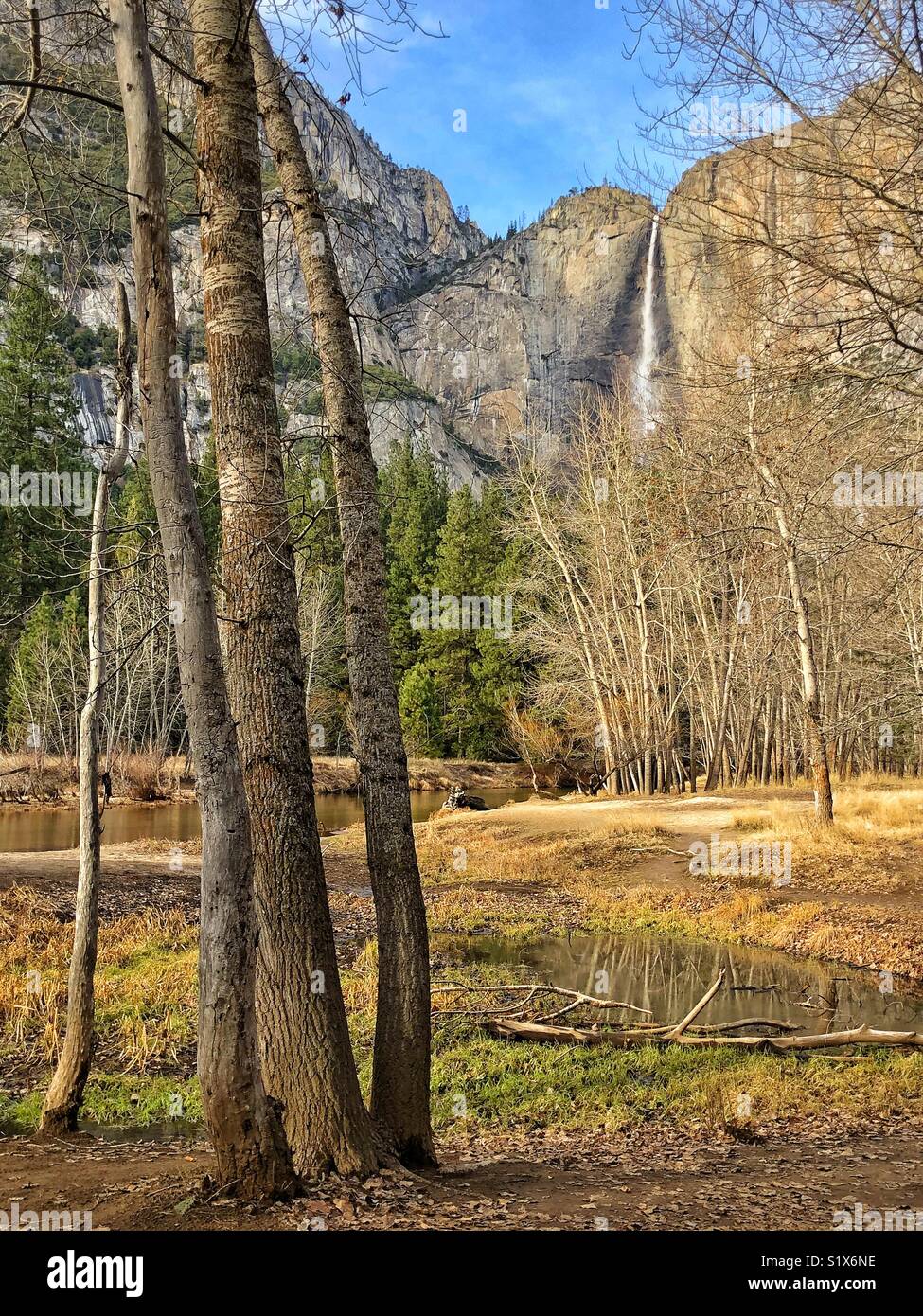 Yosemite Falls Foto Stock