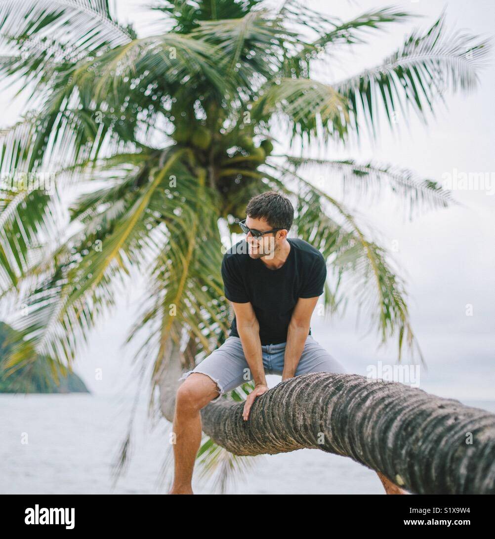 Un uomo che viaggia si trova sulla cima di un albero di cocco in Koh Mak, Thailandia Foto Stock