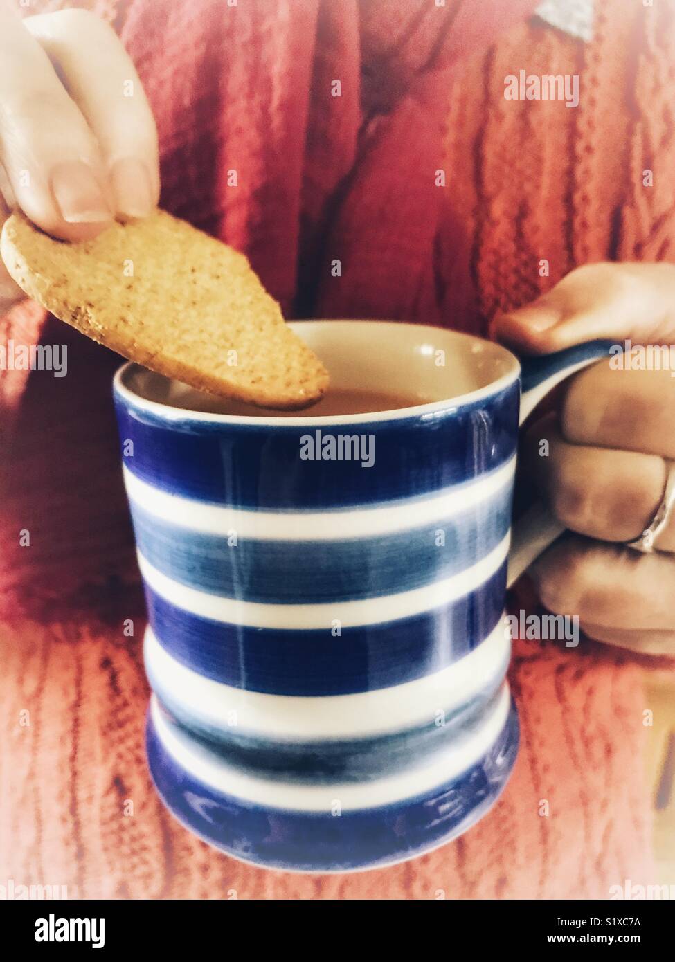 Donna dunking un biscotto in una tazza di tè, vicino, sezione mediana Foto Stock