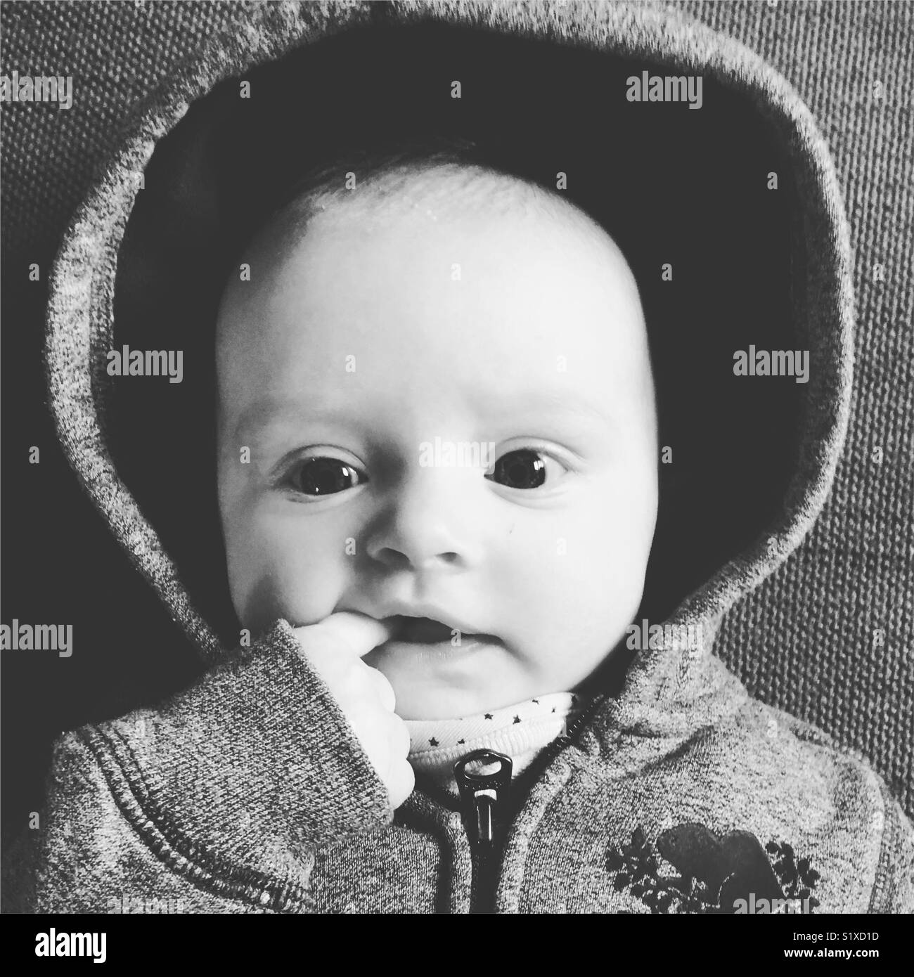 Bambino in una felpa con cappuccio con il dito in bocca Foto Stock