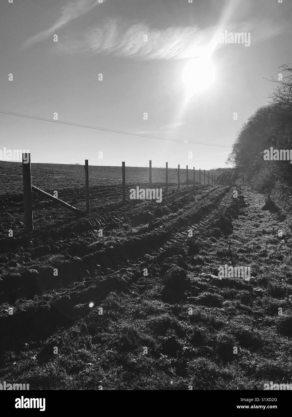 Immagine in bianco e nero di scherma nel sun Foto Stock