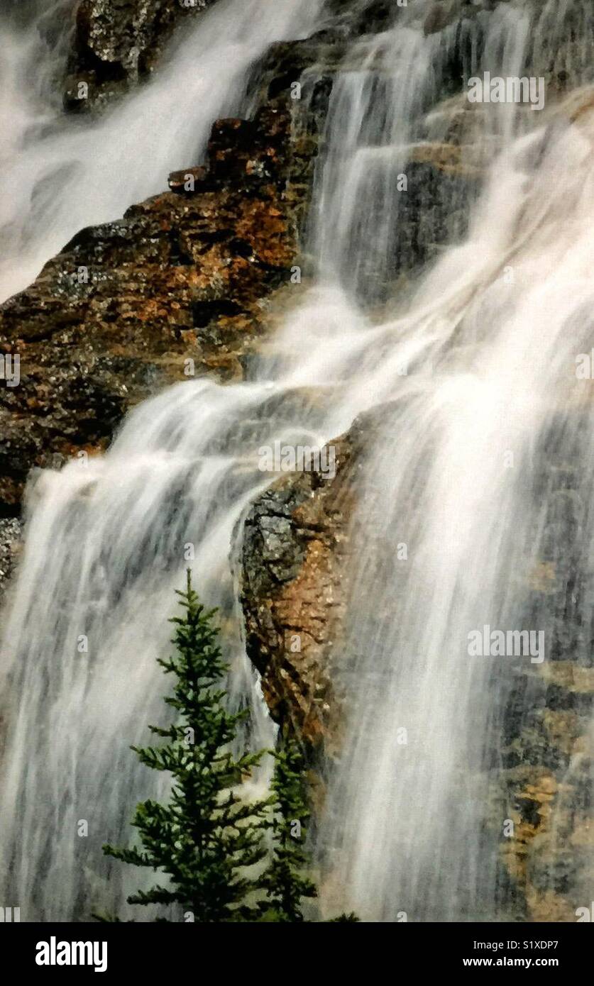 Groviglio scende, il Parco Nazionale di Jasper Foto Stock