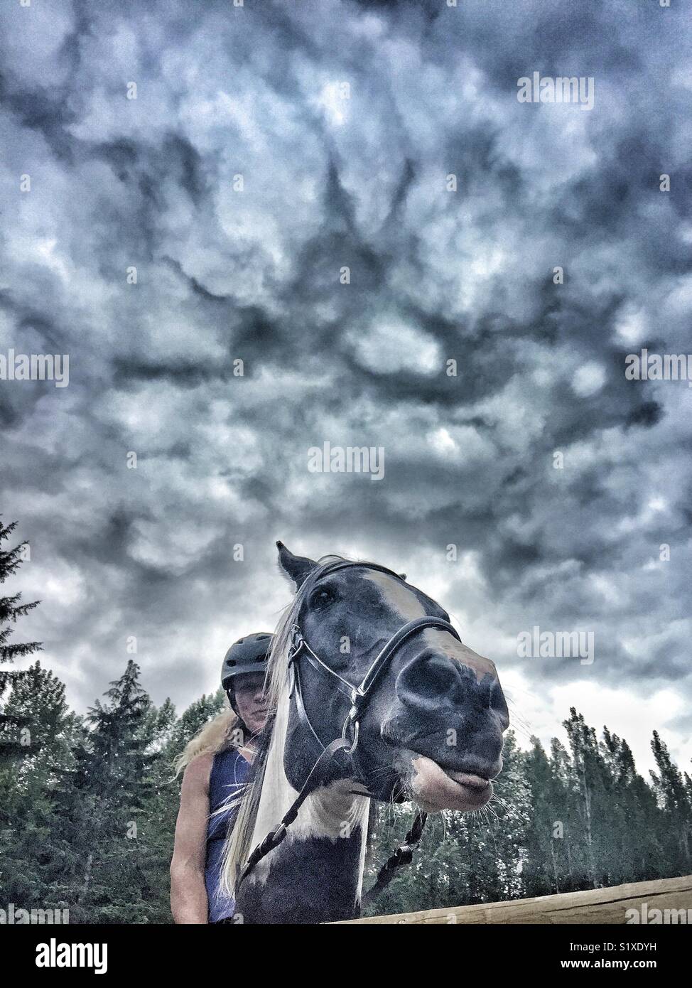 La ricerca di prospettive drammatiche di cavallo e cavaliere Foto Stock