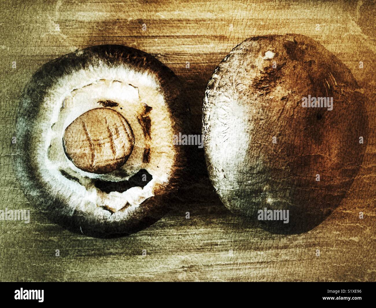 Agaricus bisporus, marrone e bianco di funghi comuni Foto Stock