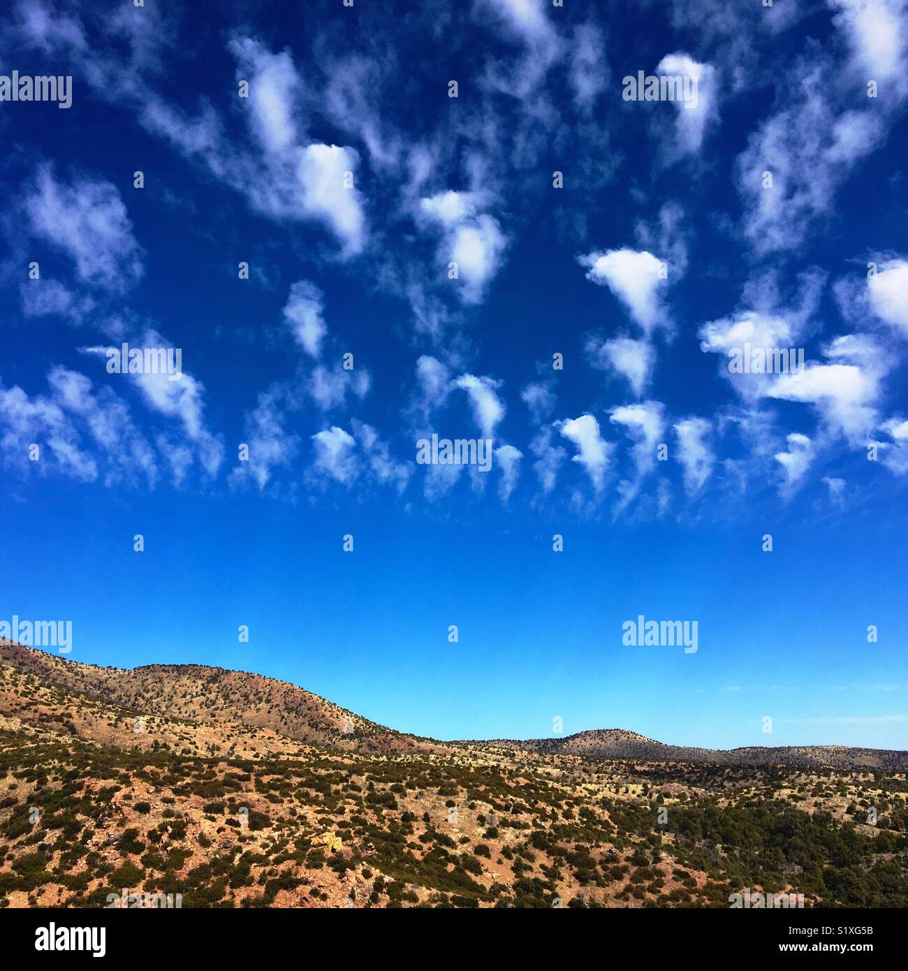Modulo di nuvole sopra la praterie dell'Arizona meridionale ai piedi delle colline di Santa Rita montagne, Sonoita, Arizona, Stati Uniti. Foto Stock