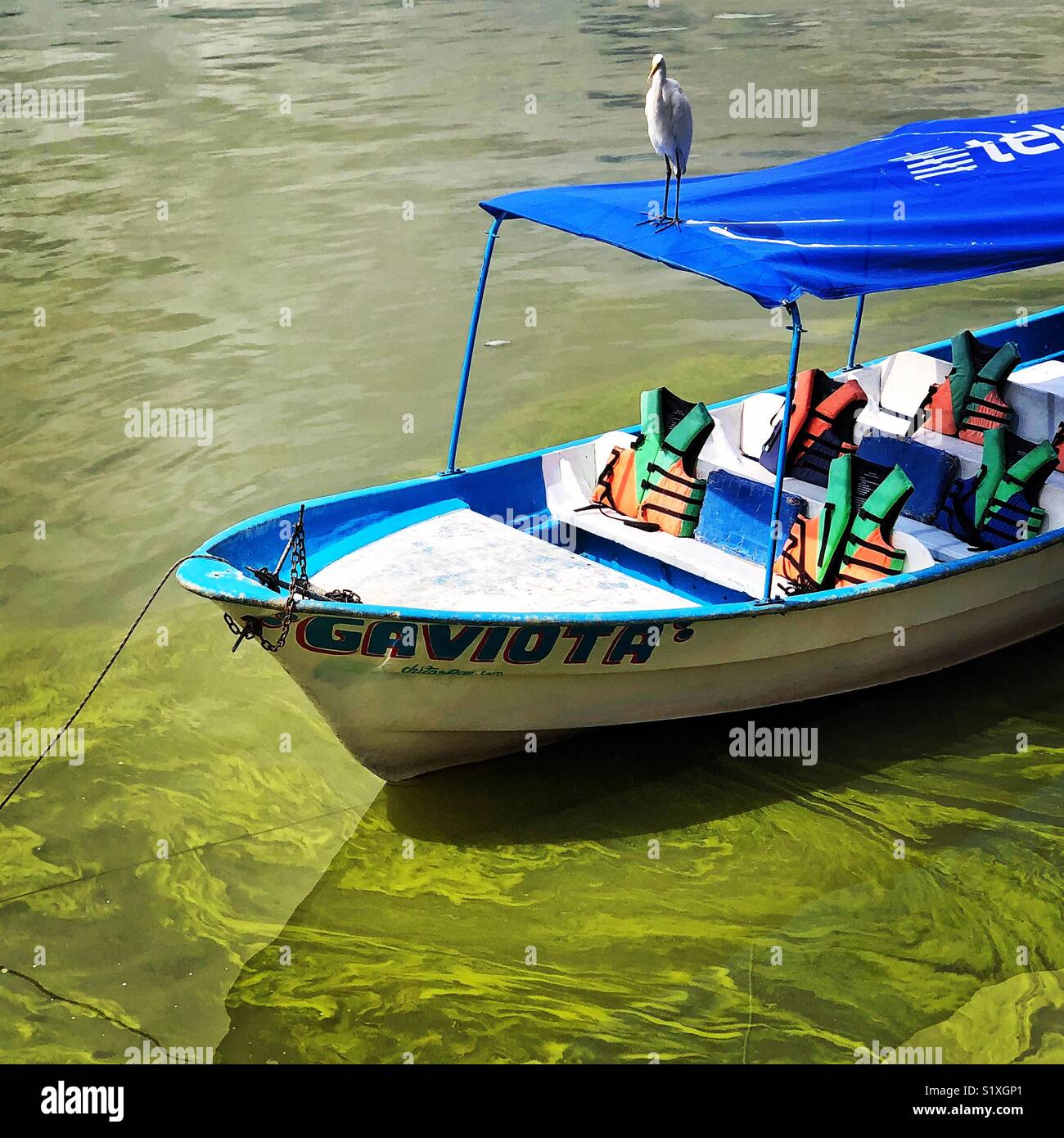 Barche colorate linea il Malecon sul lago Chapala, Jalisco Messico. Foto Stock