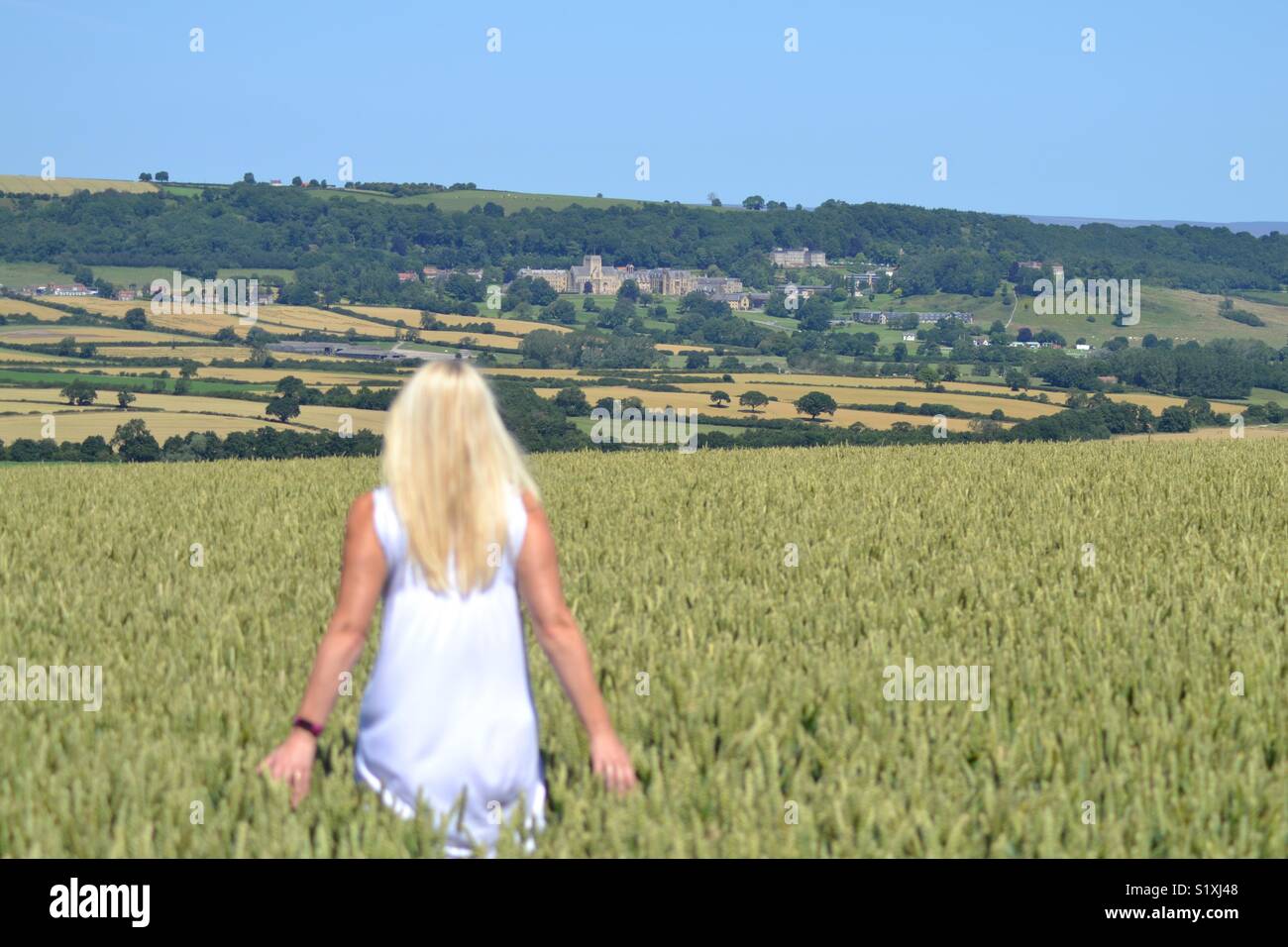 A piedi nella valle dei campi Foto Stock