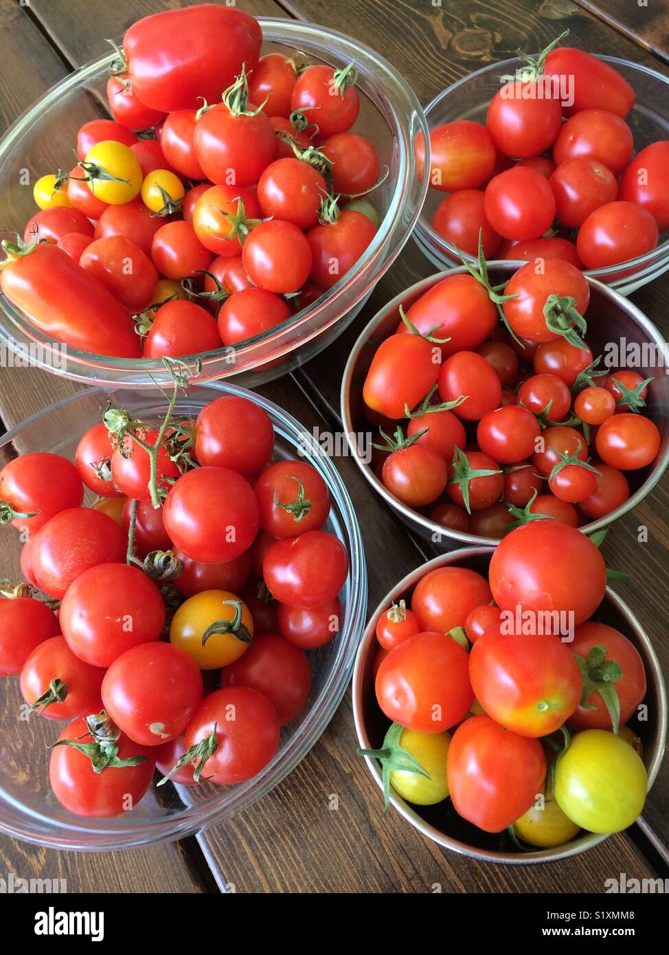 Un raccolto di pomodori cresciuti in casa si siede di bocce su un tavolo di legno. - Immagine stock catturata con smartphone