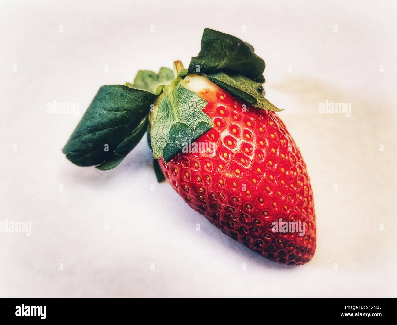 Appena raccolti, mature, rosso, succosa fragola - Immagine stock catturata con smartphone