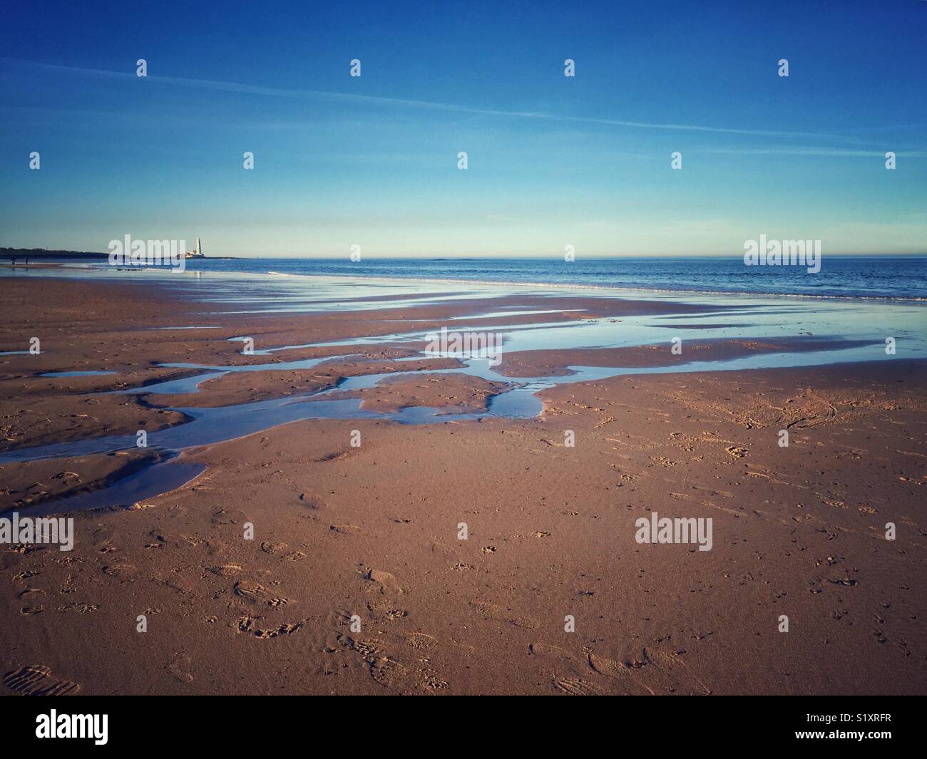 La bassa marea, il Mare del Nord. Foto Stock