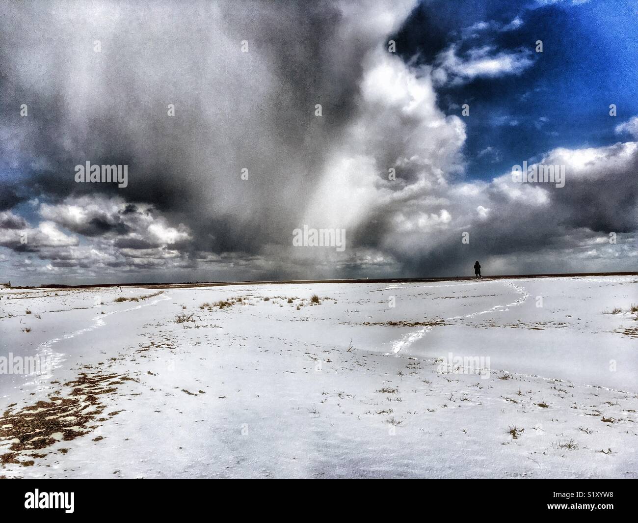 "La Bestia da est" anteriore meteo provenienti dalla Siberia al di sopra del Mare del Nord, strada di ciottoli, Suffolk, Inghilterra. - Immagine stock catturata con smartphone