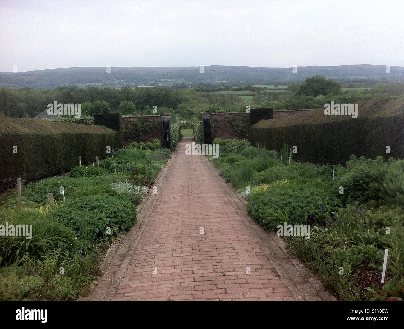 Country garden, Somerset Foto Stock