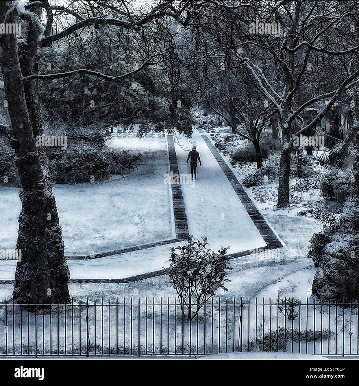 Una figura a piedi attraverso un giardino privato. - Immagine stock catturata con smartphone