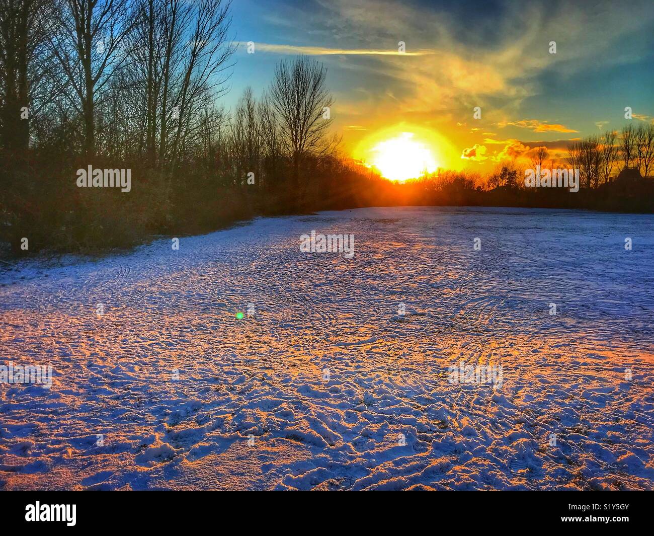 Sole luminoso incandescente prima del tramonto visto attraverso una coperta di neve park durante la nevicata del Febbraio di inverno 2018 Foto Stock