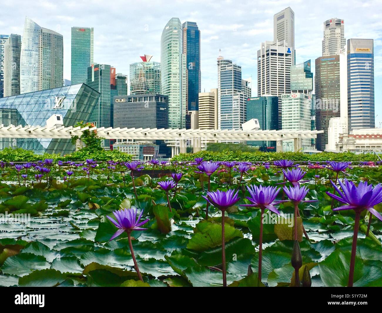 Singapore - una città in giardino Foto Stock