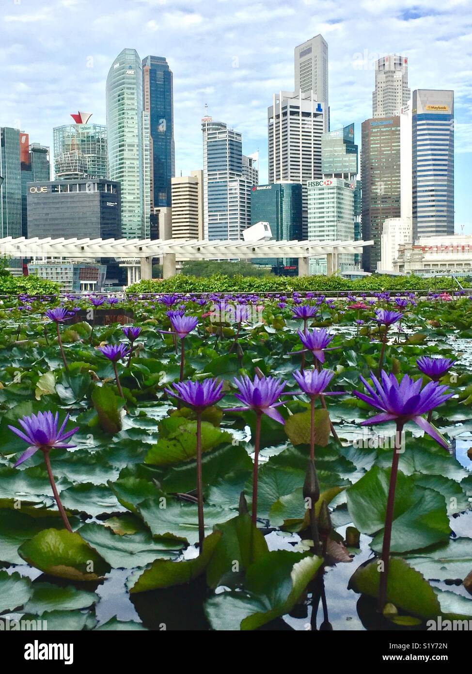 Singapore - una città in giardino Foto Stock