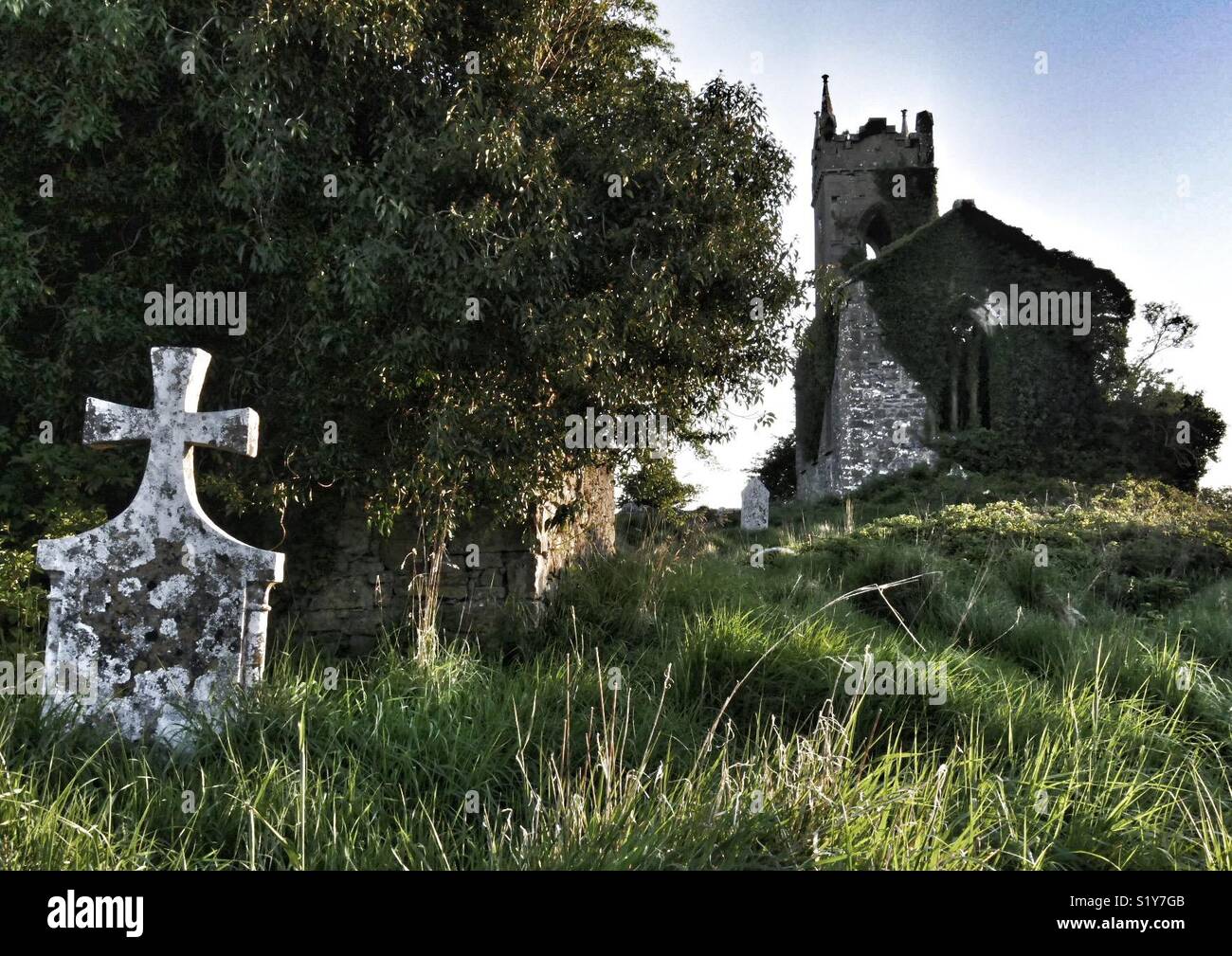 Chiesa abbandonati e lapidi, Ballymore, Eire, l'Europa. Foto Stock