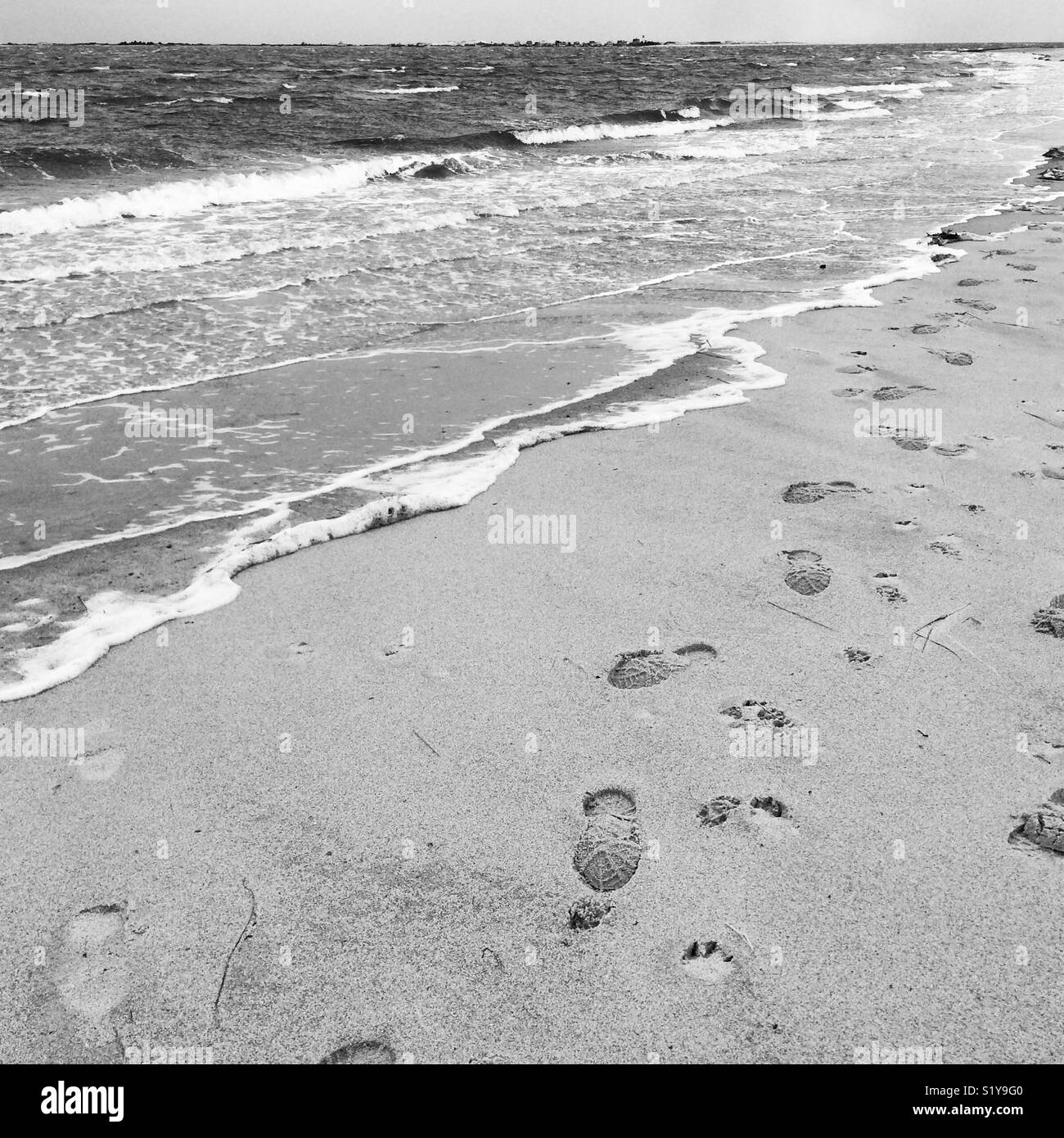 Umano e animale impronte sulla spiaggia Foto Stock
