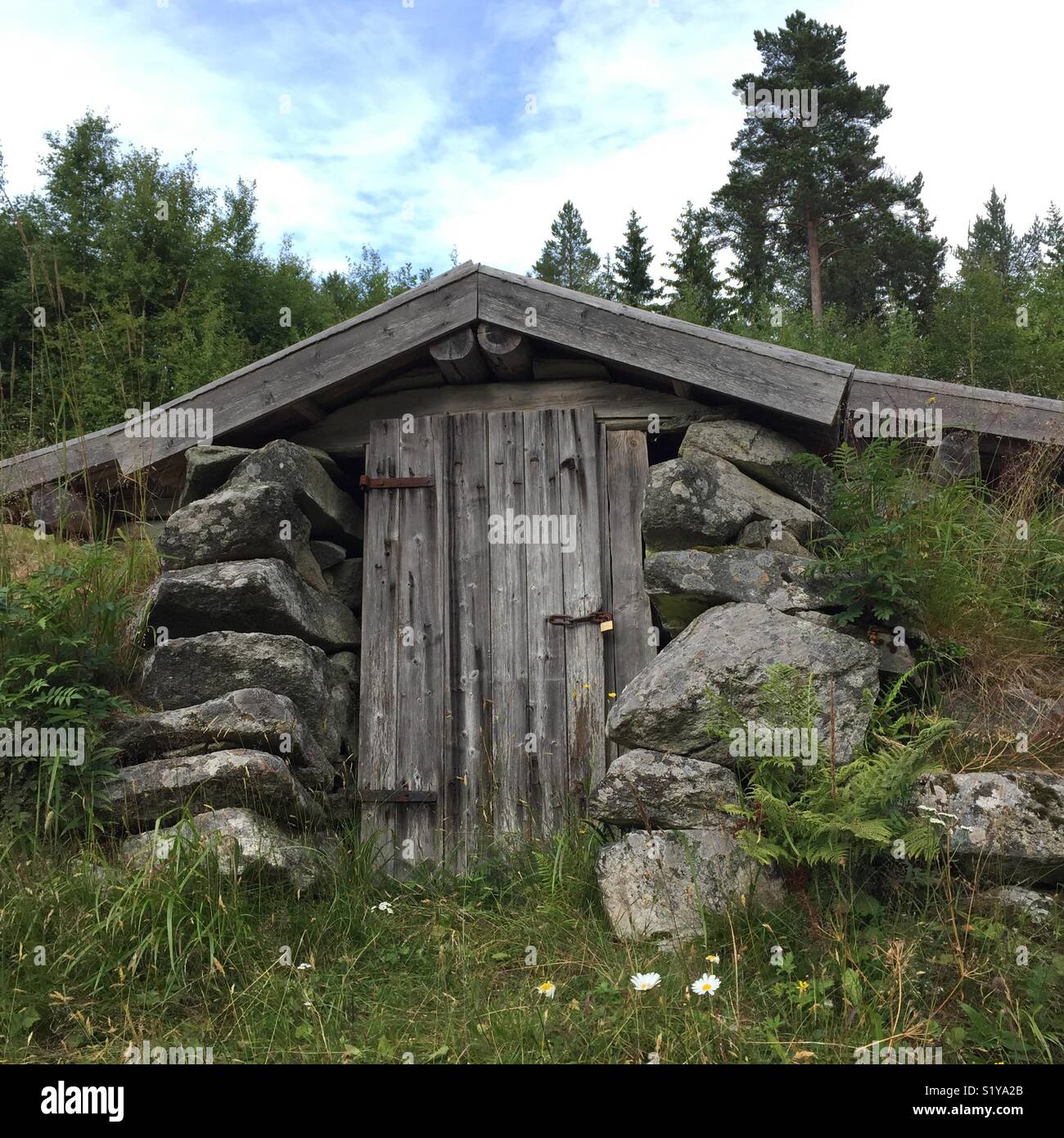Vecchia cantina di root al vecchio insediamento finlandese Ritamäki, Värmland, Svezia. - Immagine stock catturata con smartphone