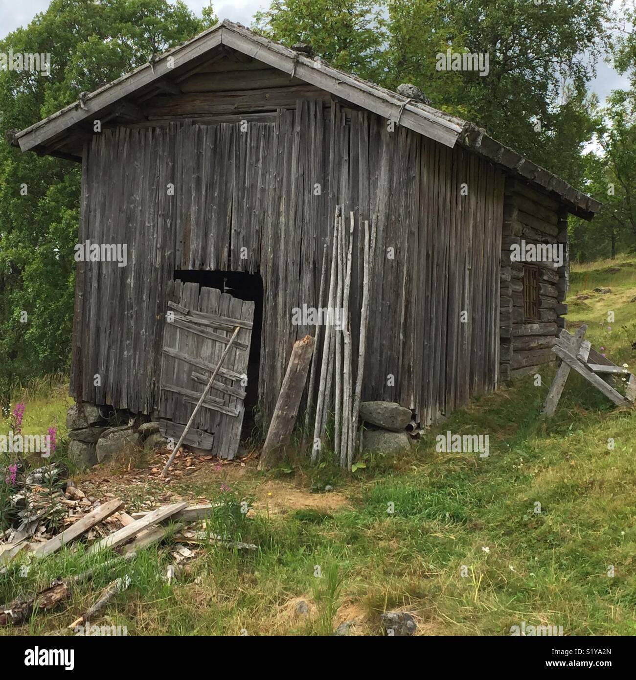Vecchio haybarn presso il vecchio insediamento finlandese Ritamäki, Värmland, Svezia. - Immagine stock catturata con smartphone