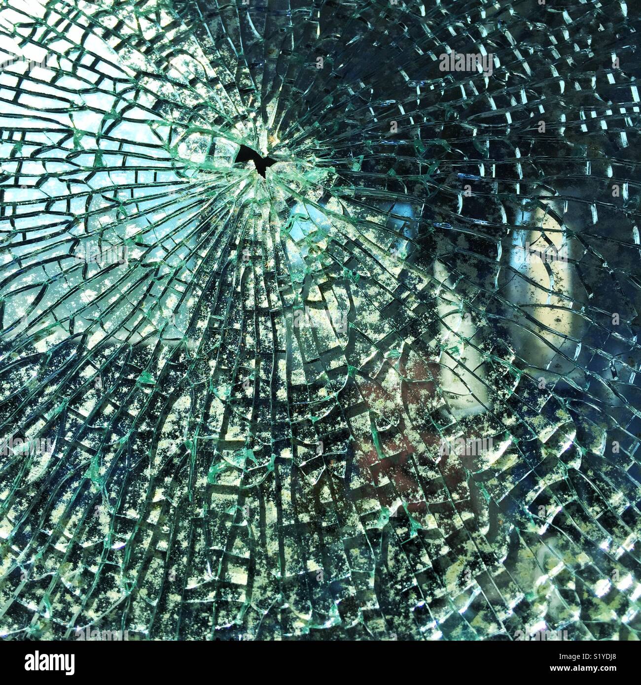 Rottura vetro per auto Foto Stock