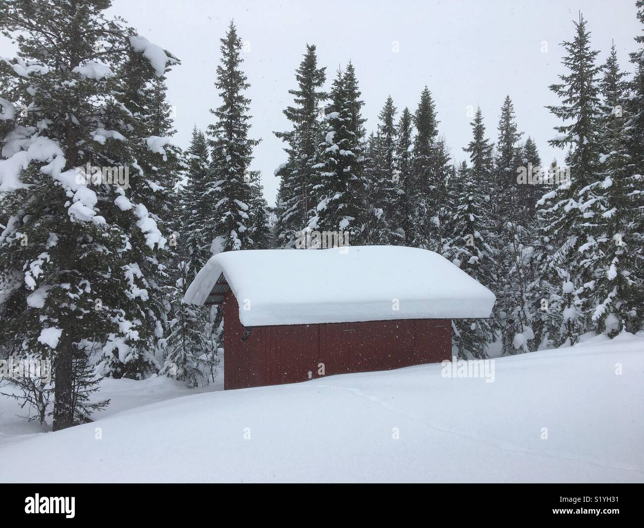 Nevicato in outdoor capannone in Hallingdal Norvegia. Foto Stock