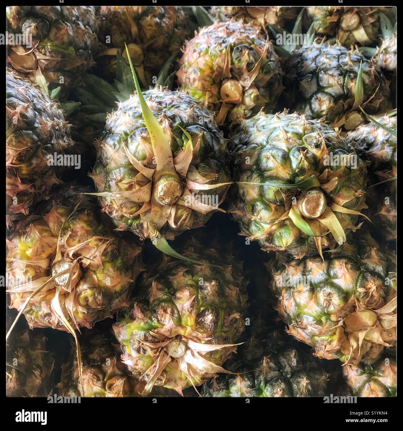 Ananassi in vendita nel supermercato. - Immagine stock catturata con smartphone