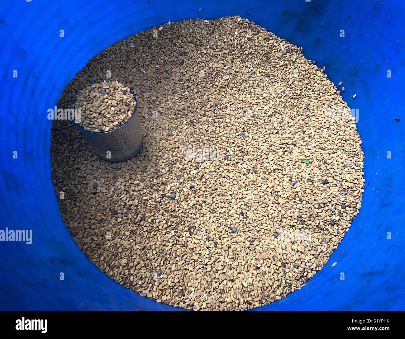 Semi di borragine in vendita in un mercato di strada in Tanger, Marocco, Africa - Immagine stock catturata con smartphone