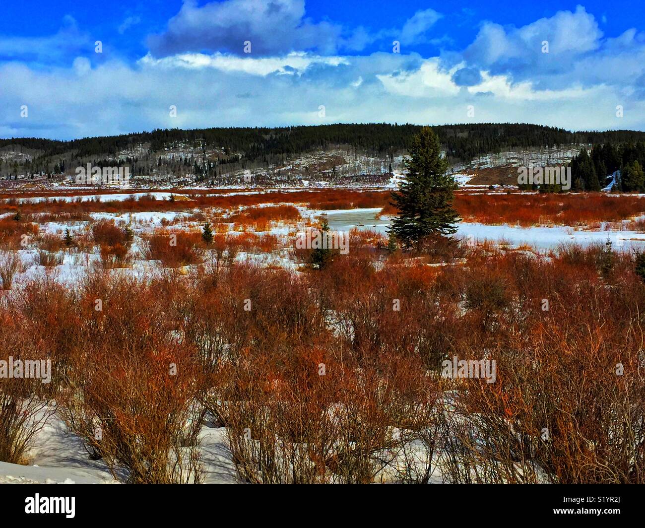 Vista Montagna con red salici ,deserto,scenic,paesaggio, - Immagine stock catturata con smartphone