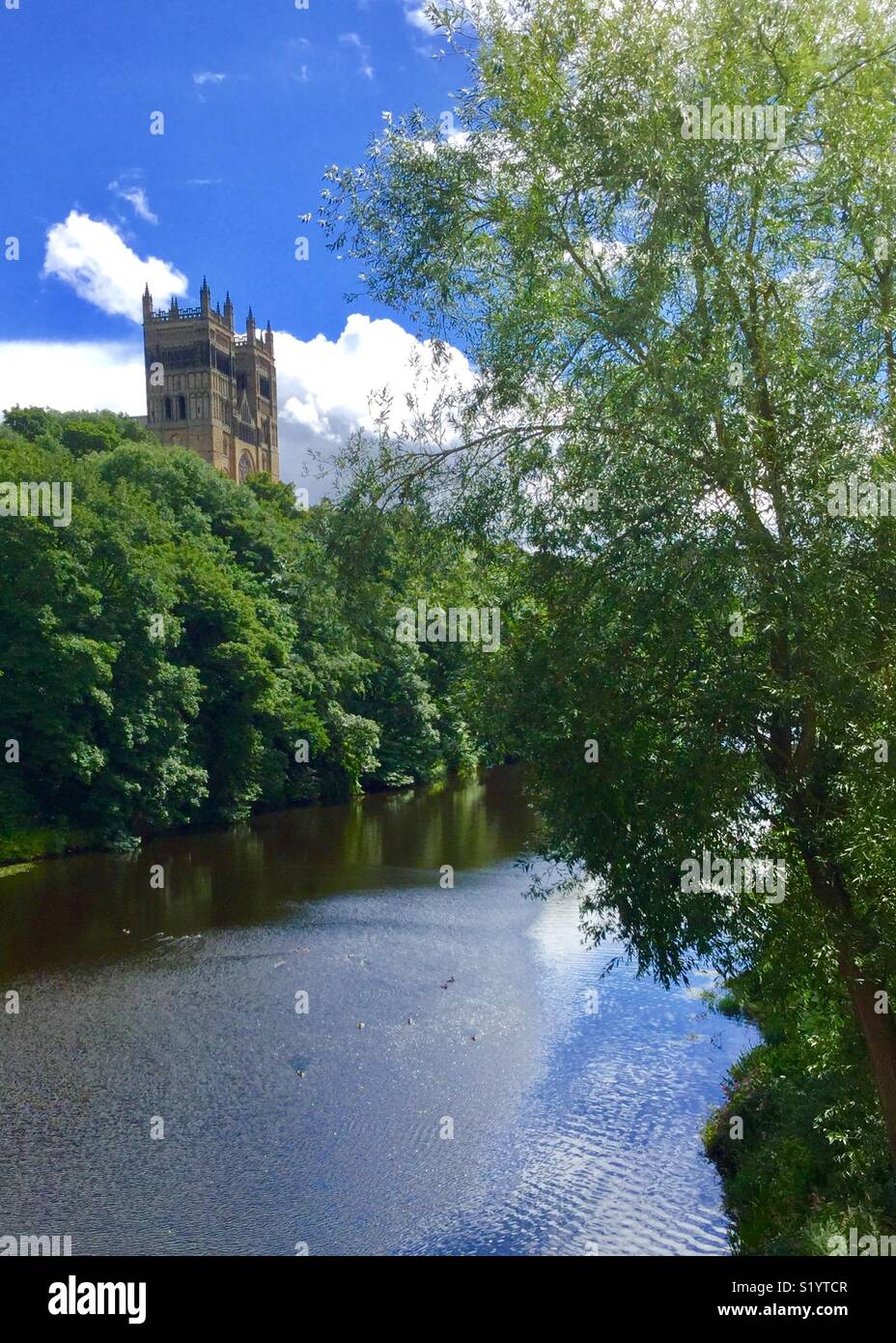 La Cattedrale di Durham e si affaccia sul fiume usura Foto Stock