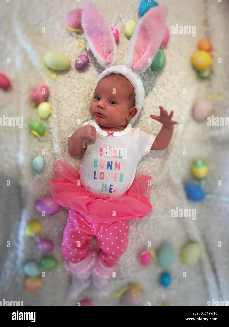 Baby coniglietto di Pasqua Foto Stock