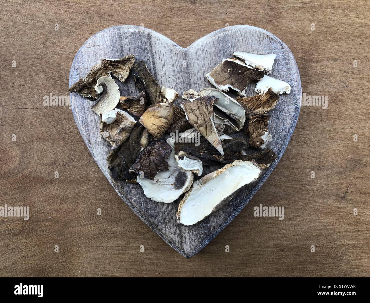 Amore funghi secchi Foto Stock