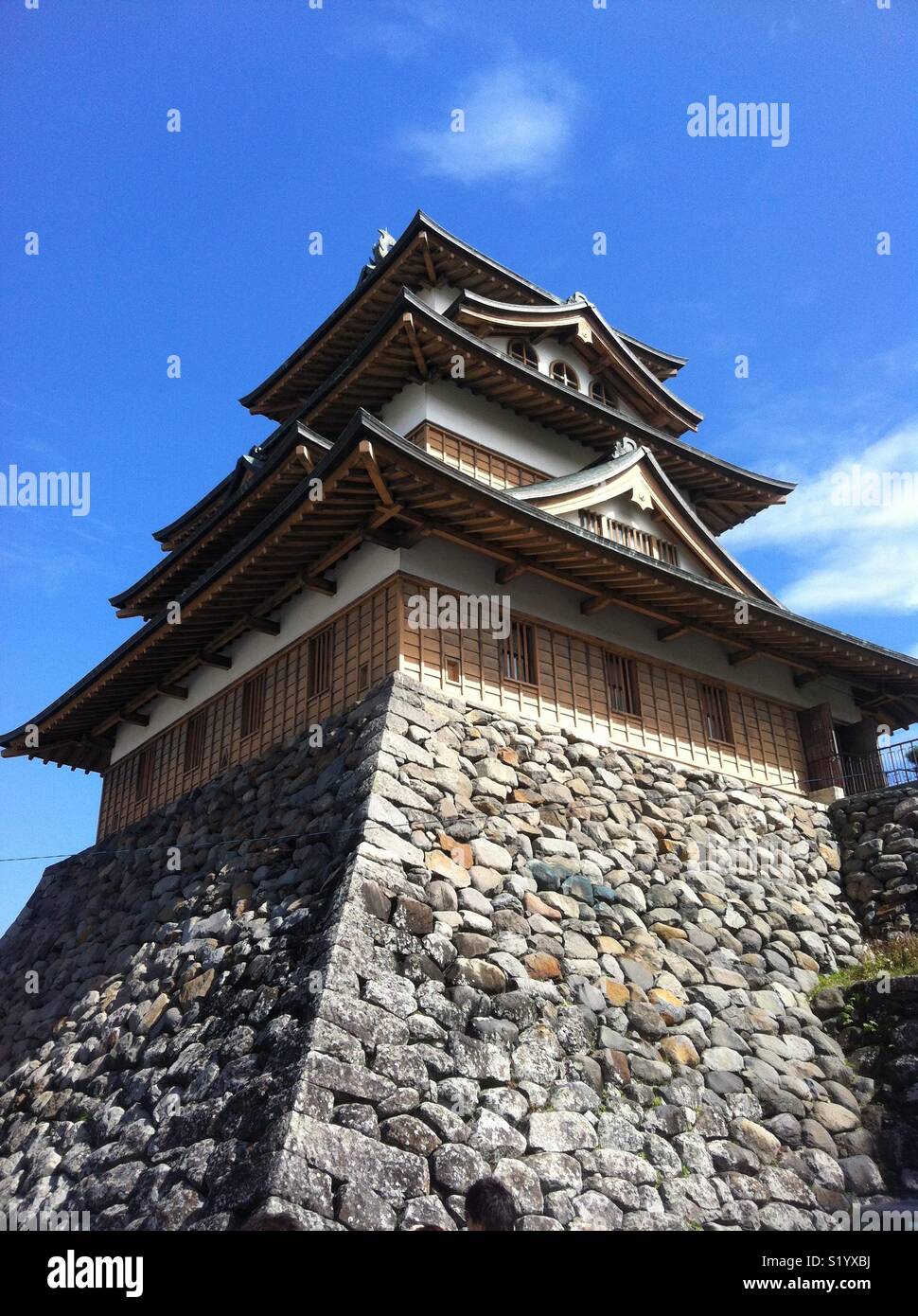 Giappone Prefettura di Nagano, castello di Suwa Foto Stock