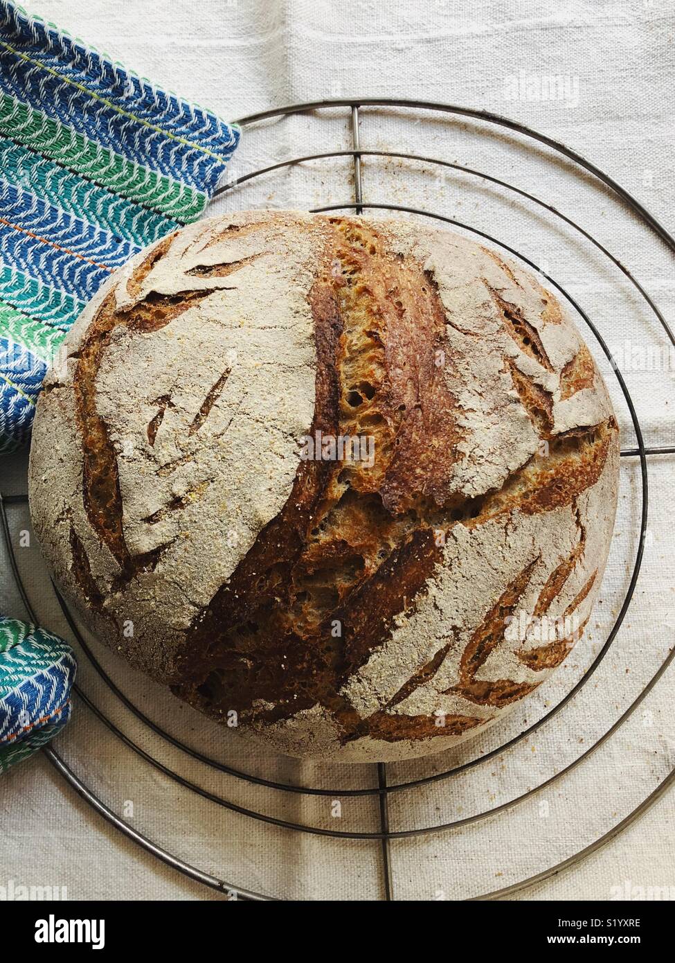 Pane di grano intero pane di pasta acida in appoggio su un vassoio da forno - Immagine stock catturata con smartphone