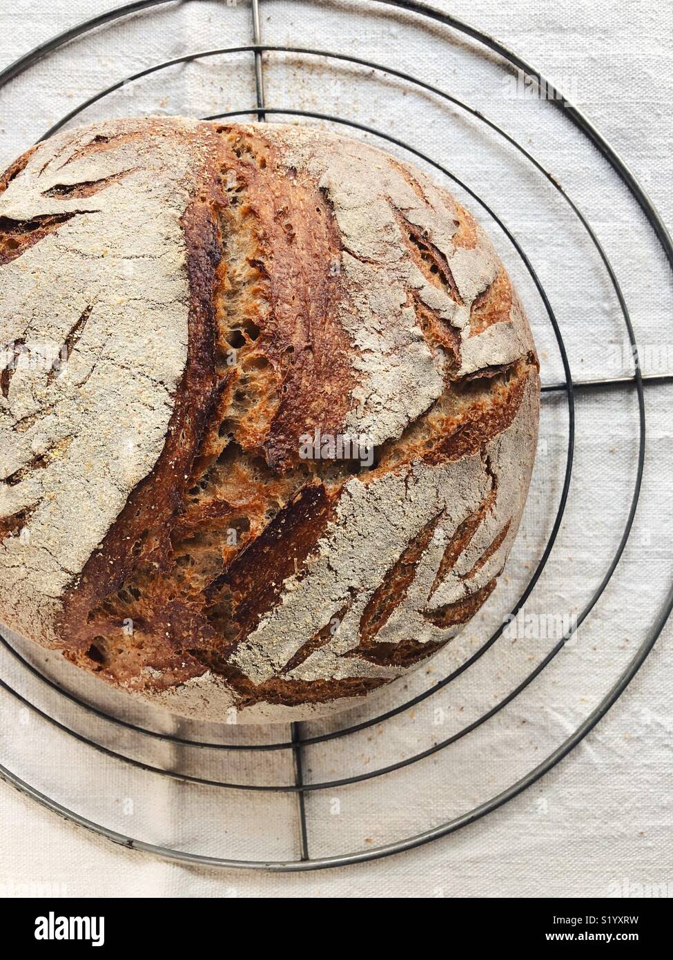 Pane casereccio pane di pasta acida raffreddamento in un rack di cottura - Immagine stock catturata con smartphone