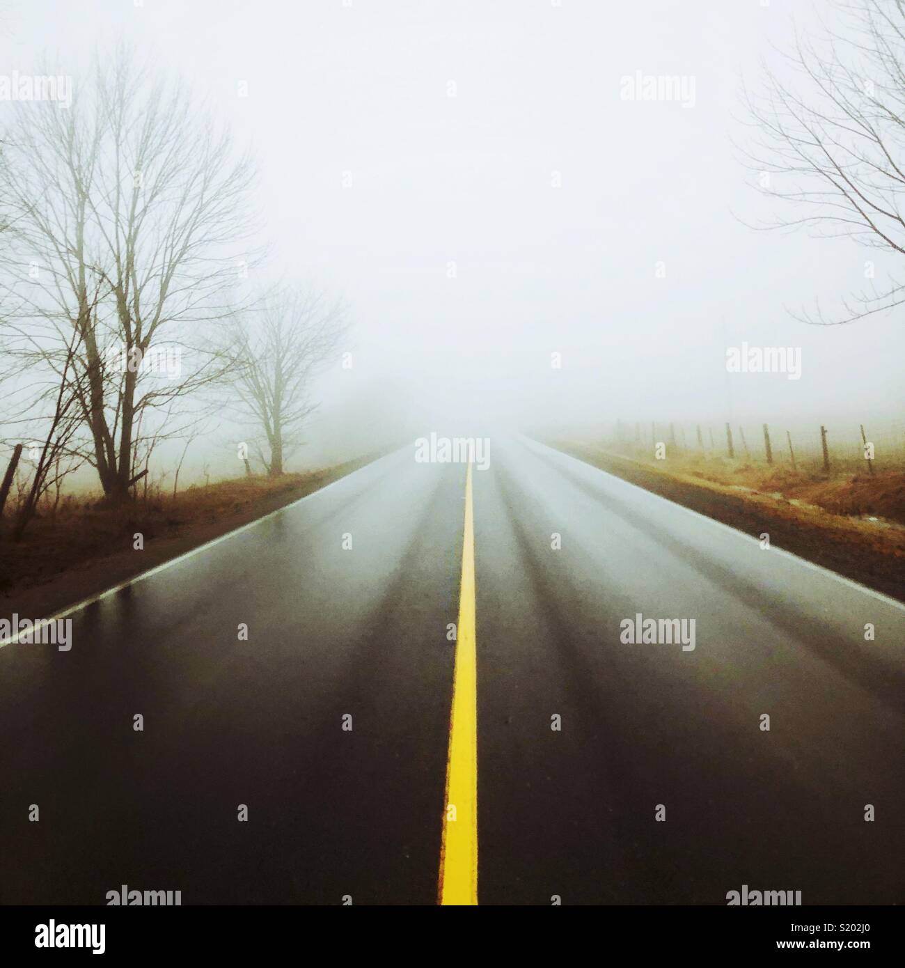 Guardando verso il basso bagnato, strada lucido con linea gialla con la nebbia e gli alberi in background Foto Stock