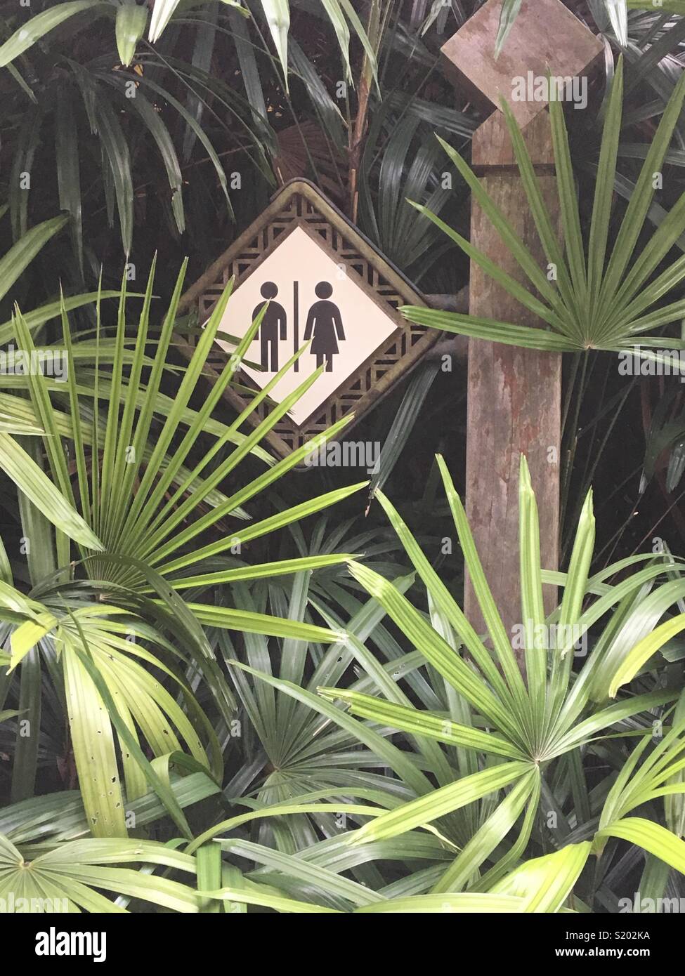 Wc digital signage circondato da foglie tropicali. Foto Stock