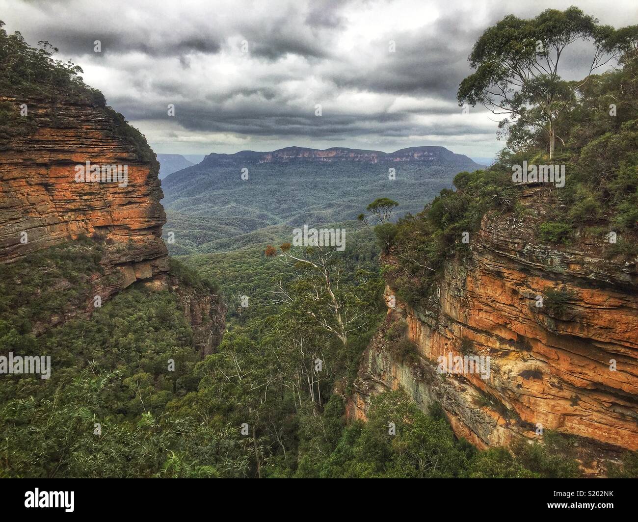 Il Jamison Valley e solitaria di montaggio dal velo nuziale Lookout, il Parco Nazionale Blue Mountains, NSW, Australia Foto Stock