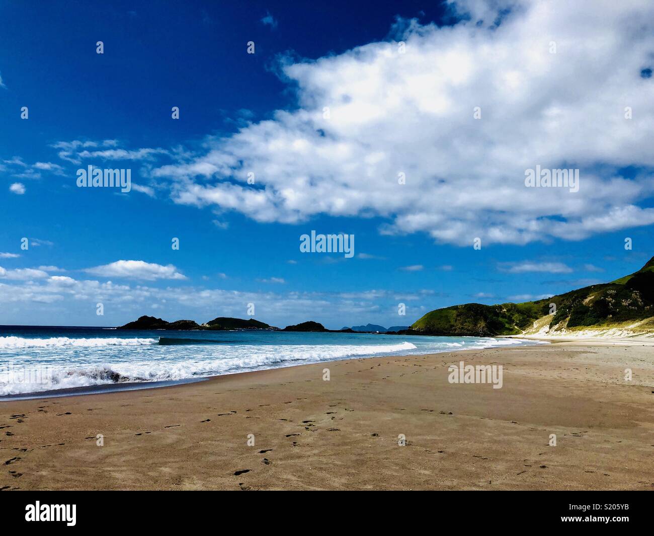 Bella spiaggia dell'oceano, un lungo 6 km, Bianco Surfer Beach, Whangarei teste, Isola del nord, Nuova Zelanda e Sud Pacifico Foto Stock