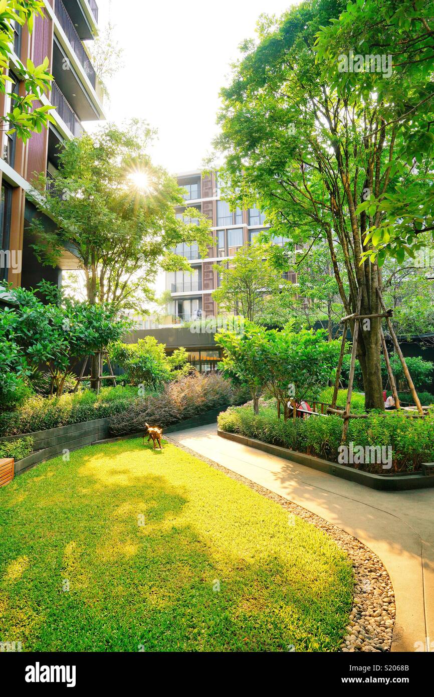 Giardino pubblico area di un moderno condominio di Bangkok Foto Stock