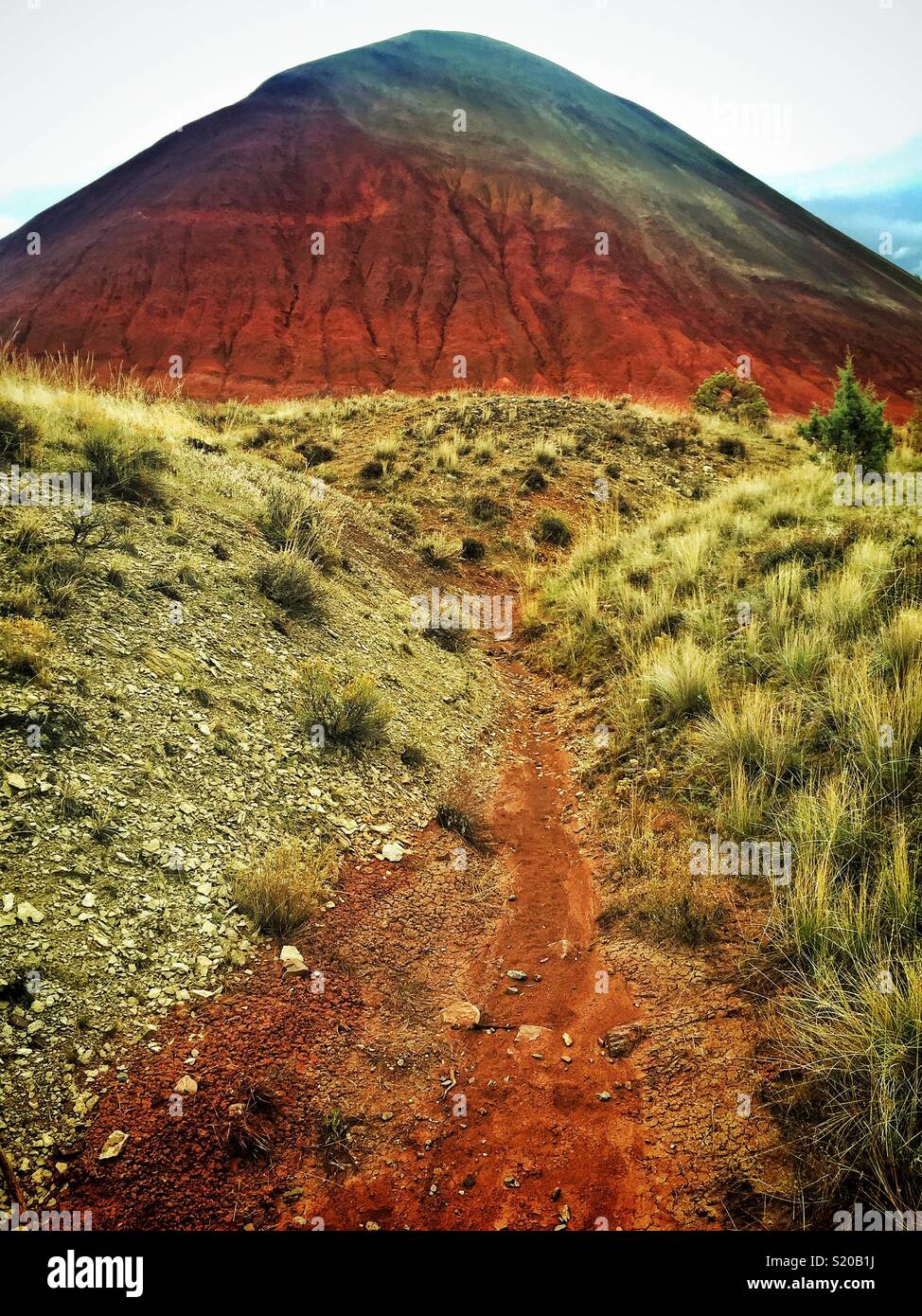 Strada di Red Hill di John giorno fossili letti colline dipinte di unità in Oregon Foto Stock
