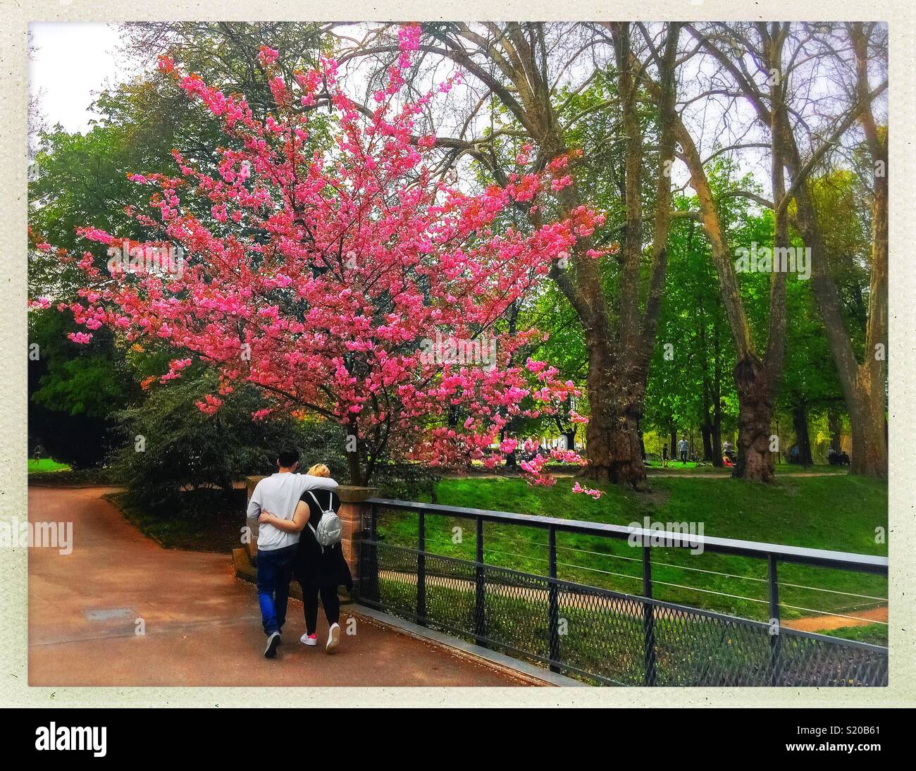 Gli amanti vagare sotto braccio in un parco in primavera, Strasburgo, Francia. - Immagine stock catturata con smartphone