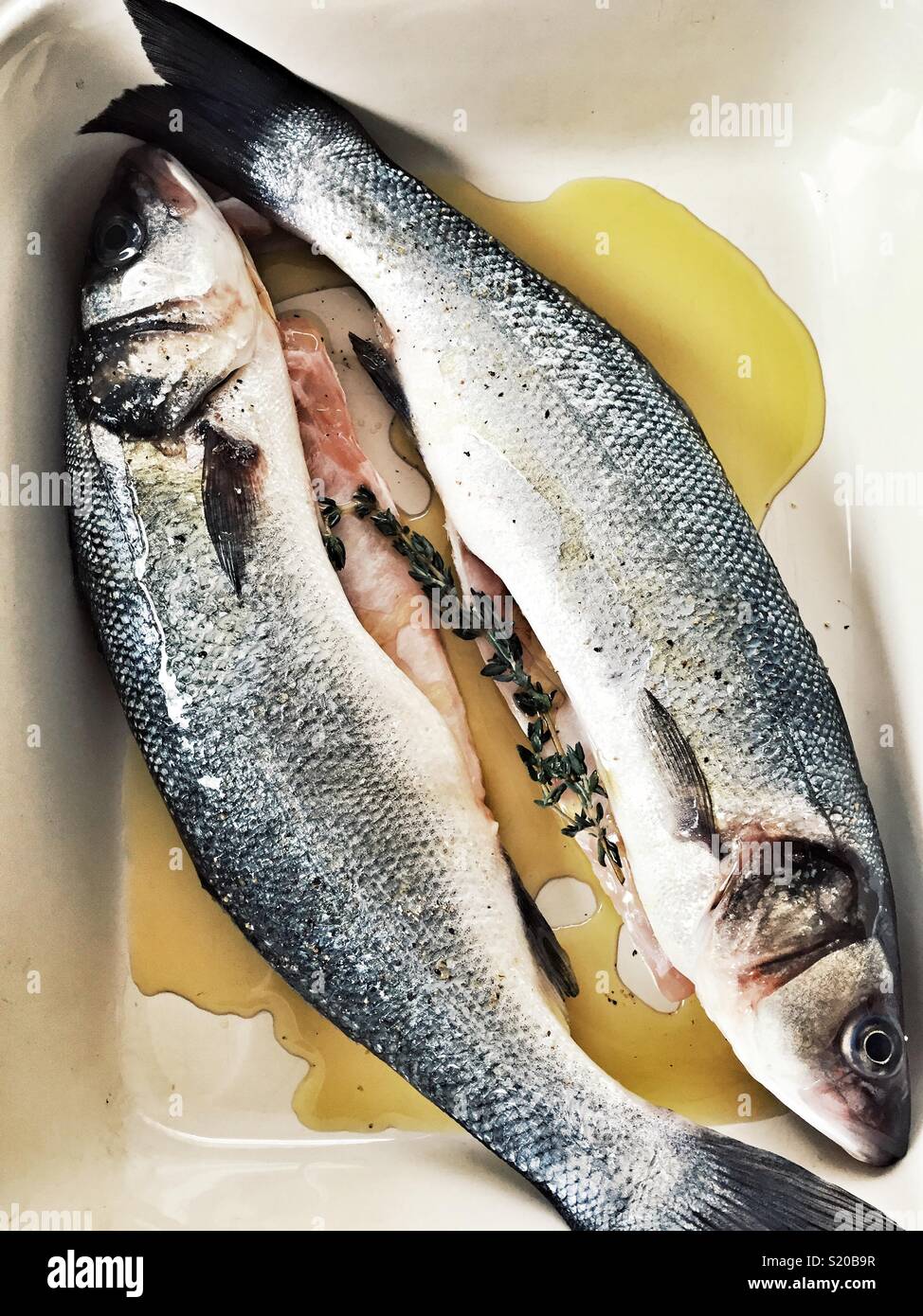 Spigola intera con timo e olio d'oliva pronto per cucinare Foto Stock
